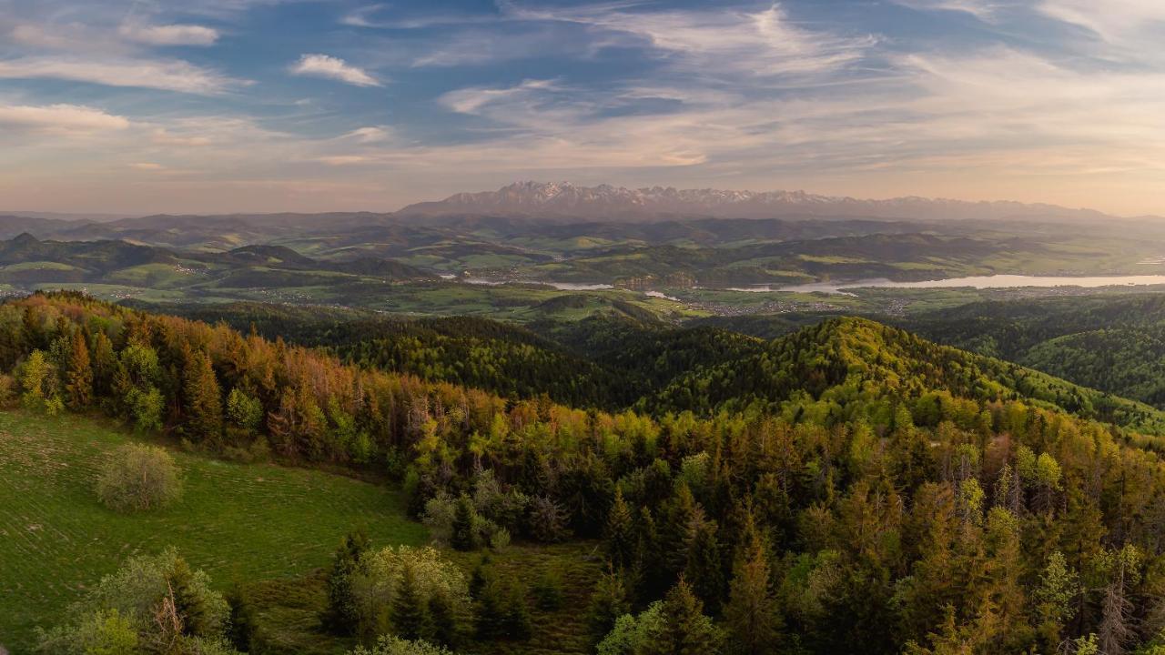Domki U Adasia Krosnica  Dış mekan fotoğraf